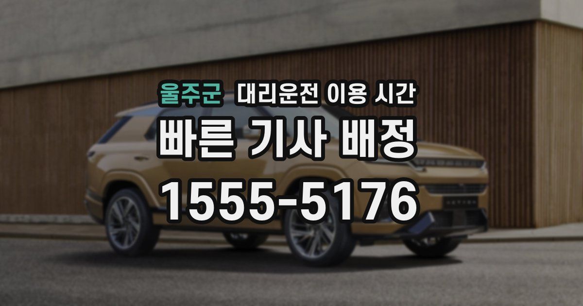 울주군 대리운전 이용 시간