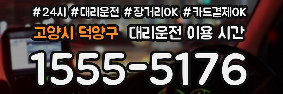 고양시 덕양구 대리운전 이용 시간