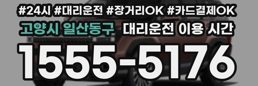 고양시 일산동구 대리운전 이용 시간