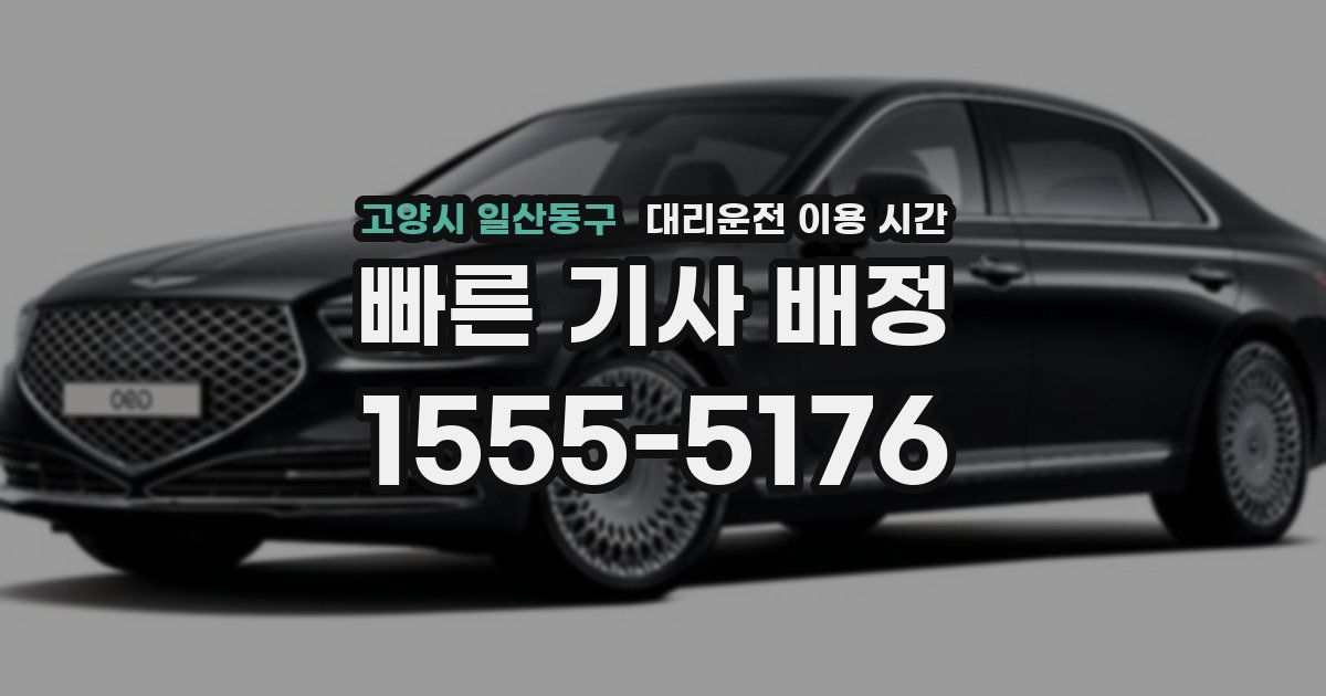 고양시 일산동구 대리운전 이용 시간