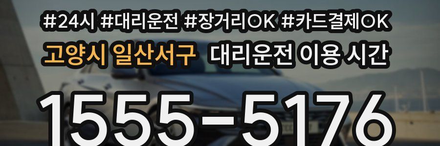 고양시 일산서구 대리운전 이용 시간