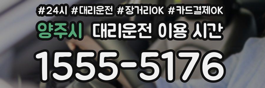 양주시 대리운전 이용 시간