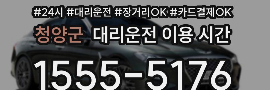 청양군 대리운전 이용 시간