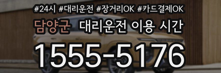담양군 대리운전 이용 시간