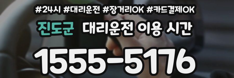 진도군 대리운전 이용 시간