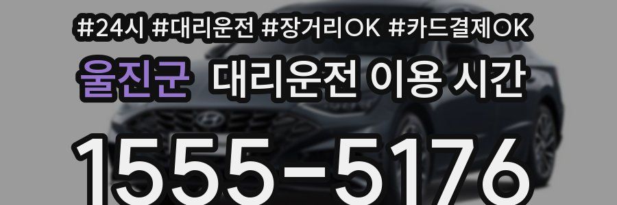 울진군 대리운전 이용 시간