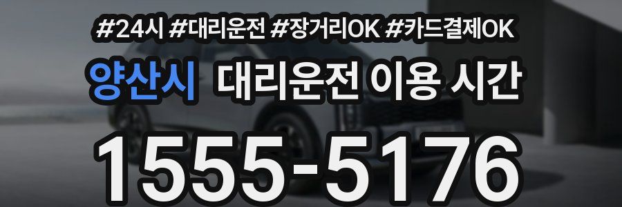 양산시 대리운전 이용 시간