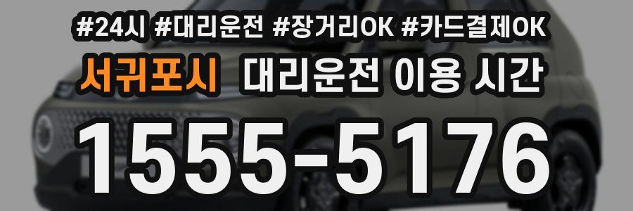 서귀포시 대리운전 이용 시간
