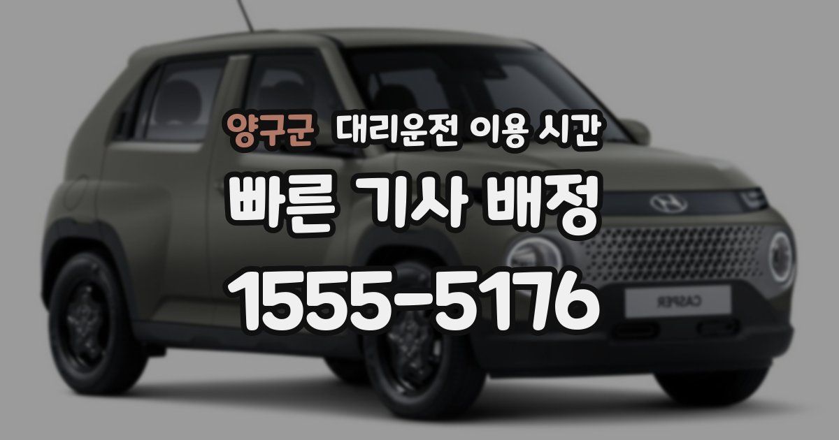 양구군 대리운전 이용 시간