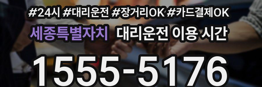 세종특별자치 대리운전 이용 시간