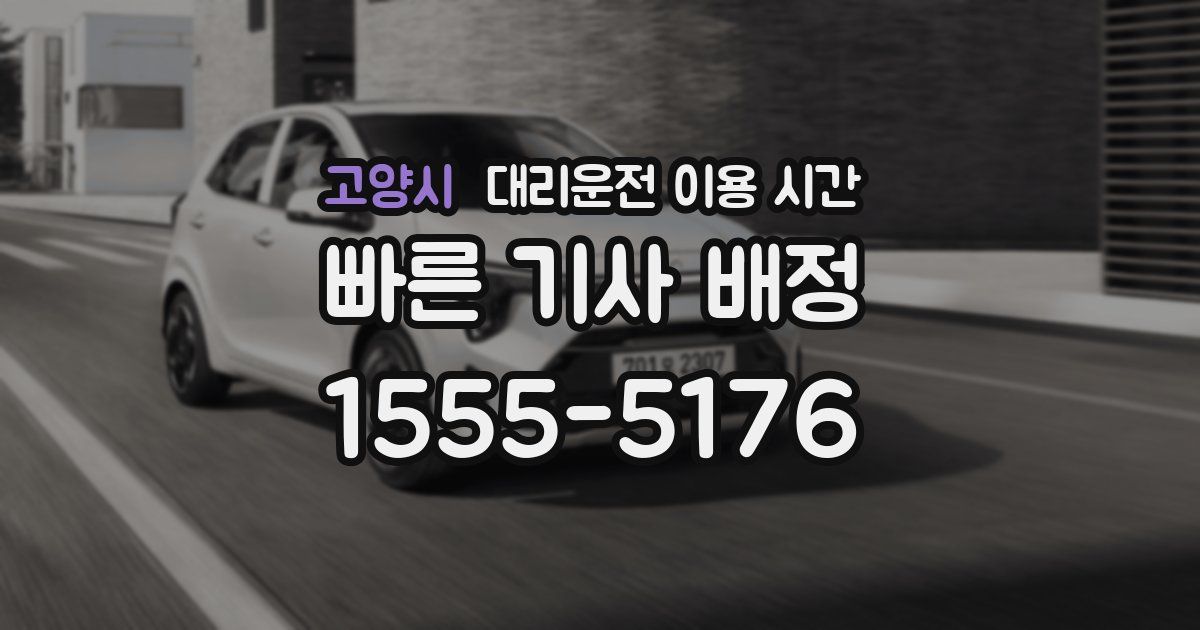 고양시 대리운전 이용 시간