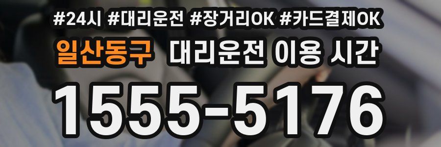 일산동구 대리운전 이용 시간