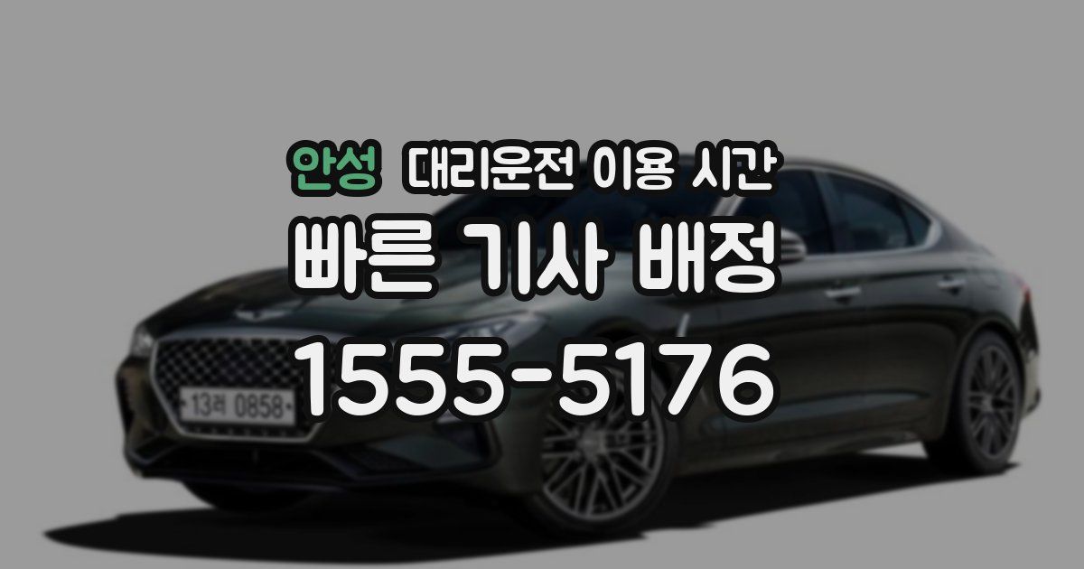 안성 대리운전 이용 시간
