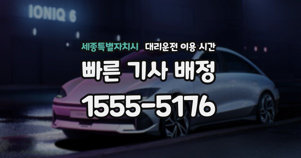 세종특별자치시 대리운전 이용 시간