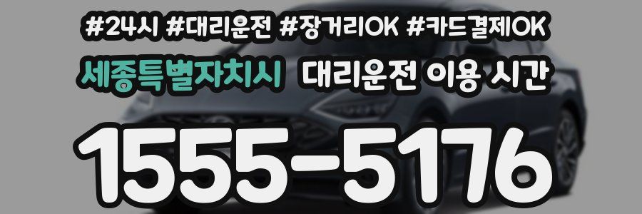 세종특별자치시 대리운전 이용 시간