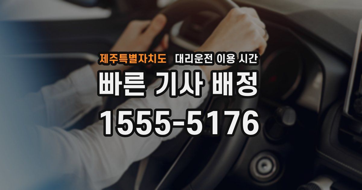제주특별자치도 대리운전 이용 시간