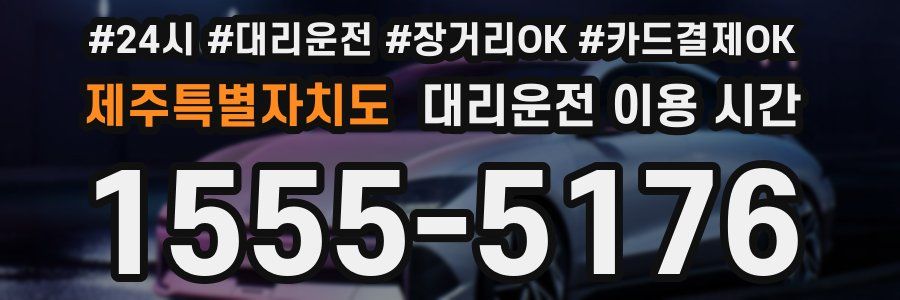 제주특별자치도 대리운전 이용 시간