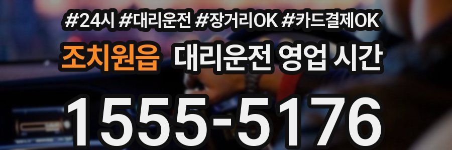조치원읍 대리운전 영업 시간