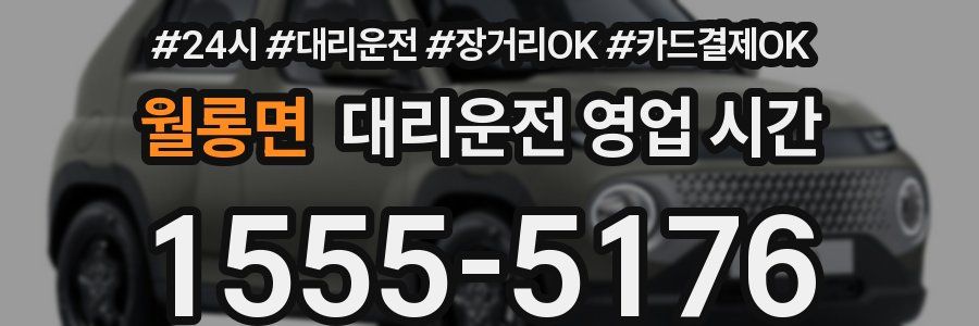 월롱면 대리운전 영업 시간