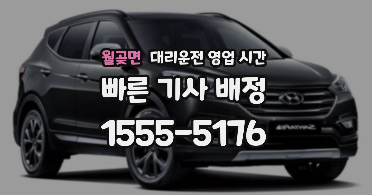 월곶면 대리운전 영업 시간