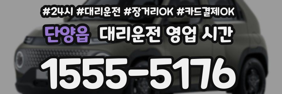 단양읍 대리운전 영업 시간
