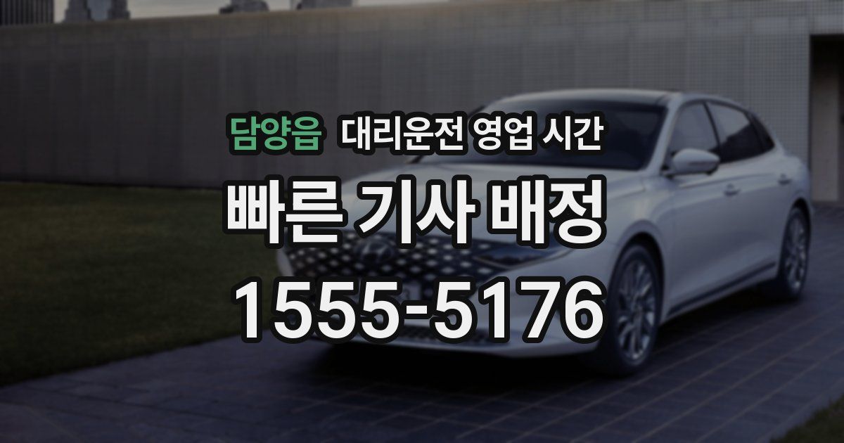 담양읍 대리운전 영업 시간