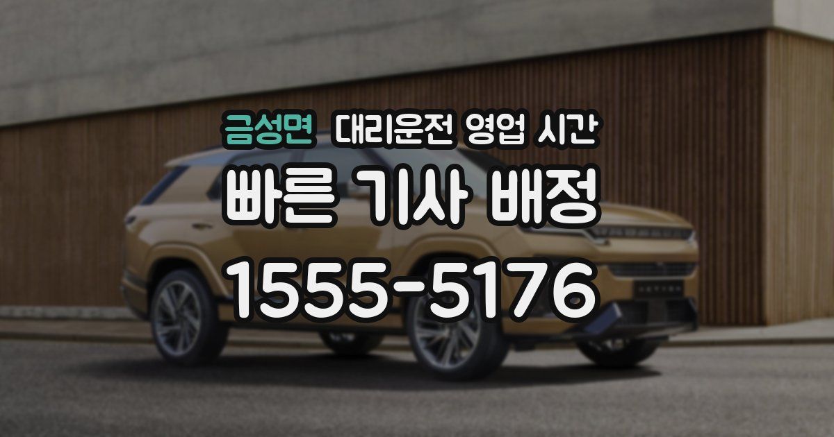 금성면 대리운전 영업 시간