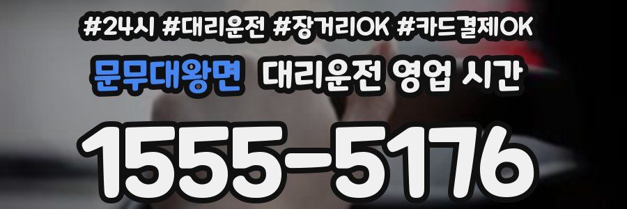 문무대왕면 대리운전 영업 시간