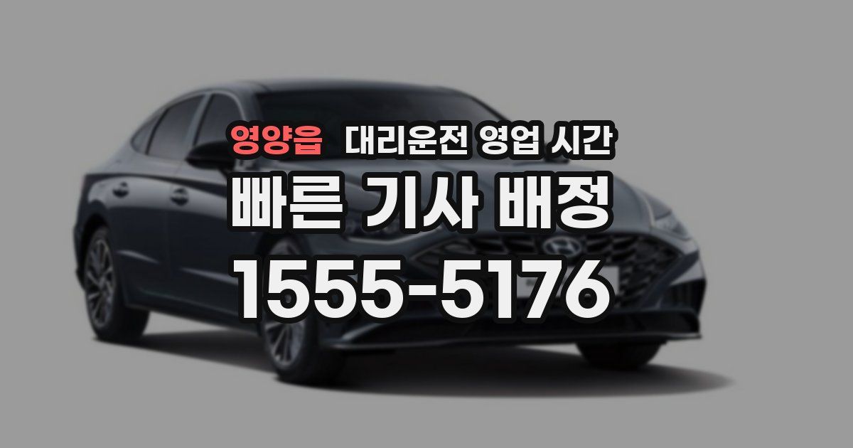 영양읍 대리운전 영업 시간