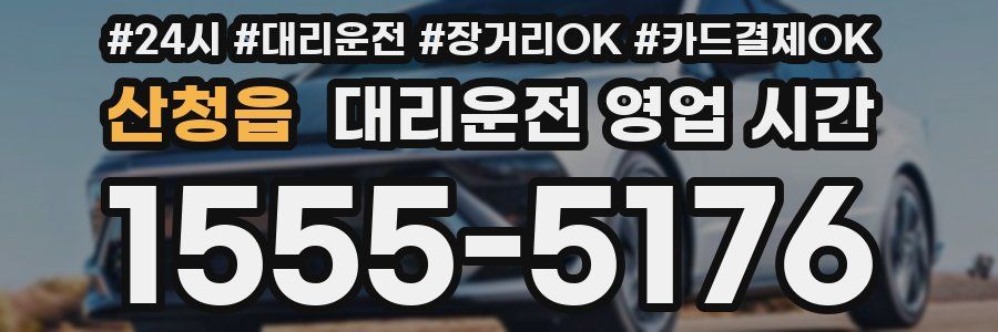 산청읍 대리운전 영업 시간