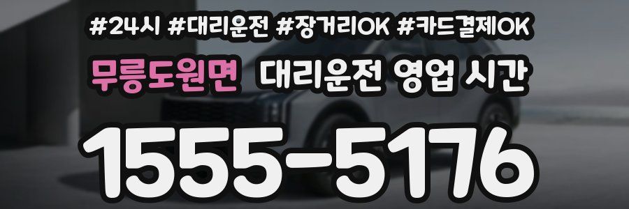 무릉도원면 대리운전 영업 시간