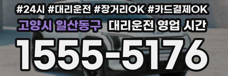 고양시 일산동구 대리운전 영업 시간