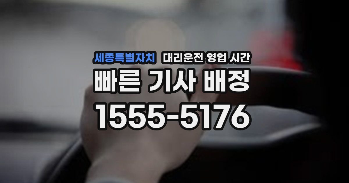 세종특별자치 대리운전 영업 시간