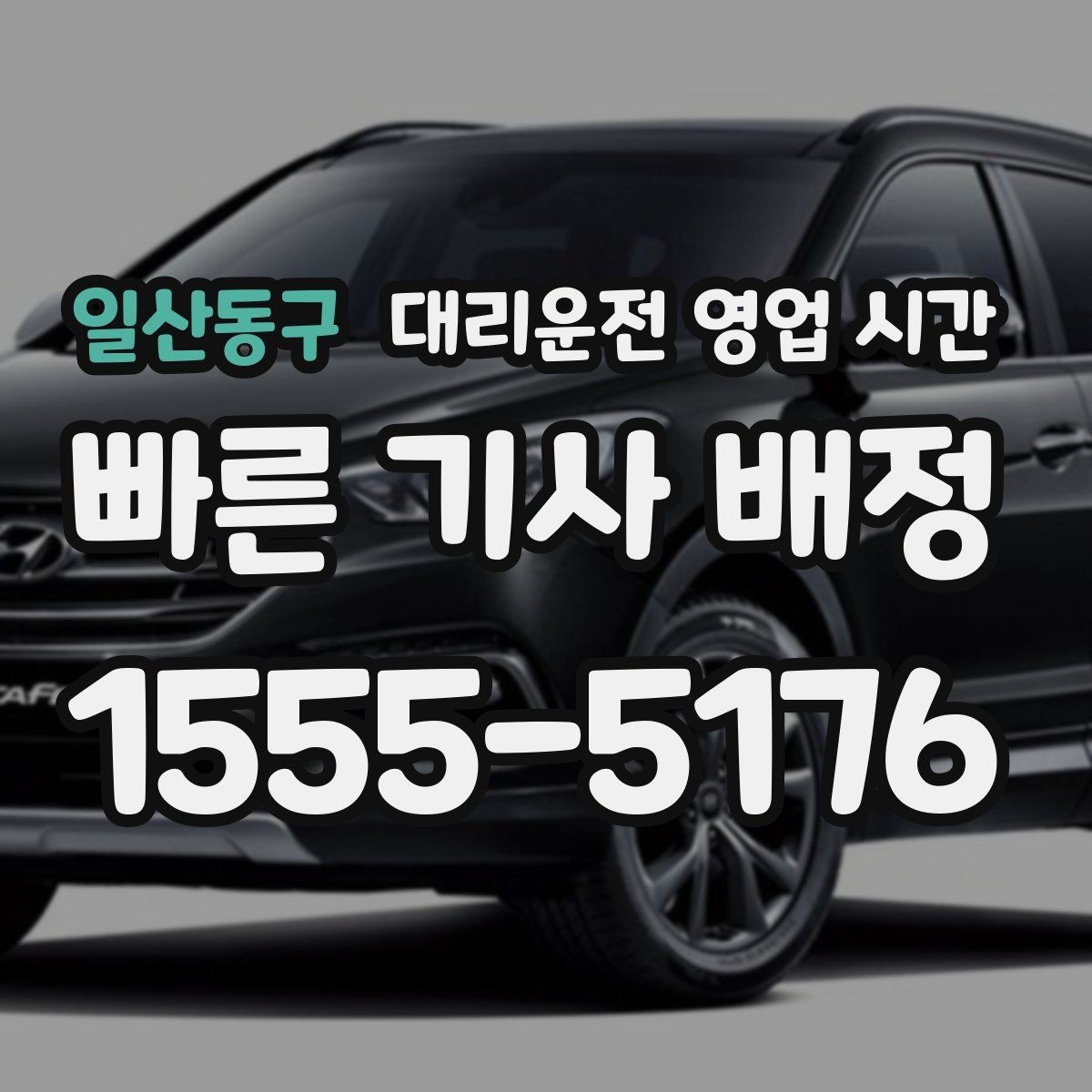 일산동구 대리운전 영업 시간 주말 밤 운영 범위 살펴보기