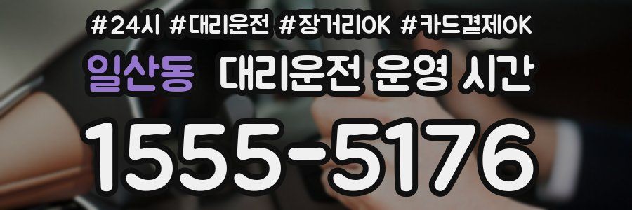 일산동 대리운전 운영 시간