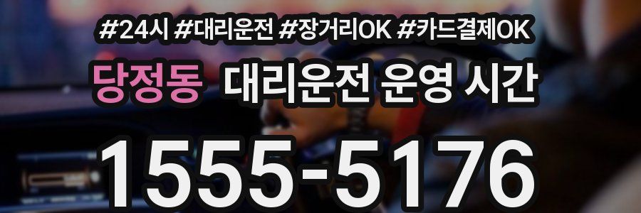 당정동 대리운전 운영 시간
