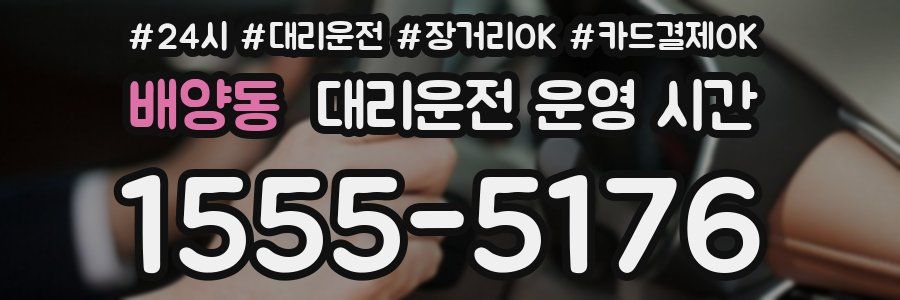 배양동 대리운전 운영 시간