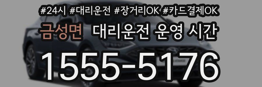 금성면 대리운전 운영 시간