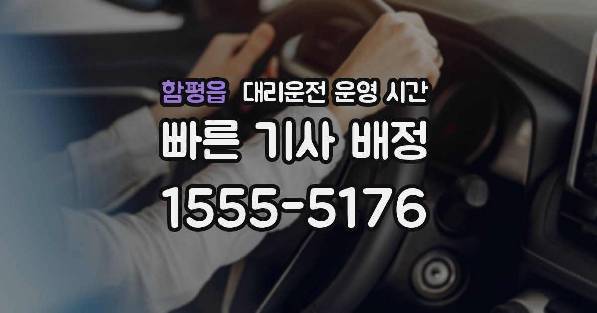 함평읍 대리운전 운영 시간