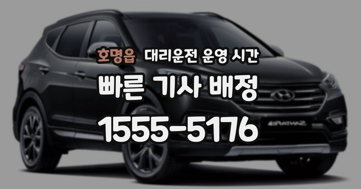 호명읍 대리운전 운영 시간
