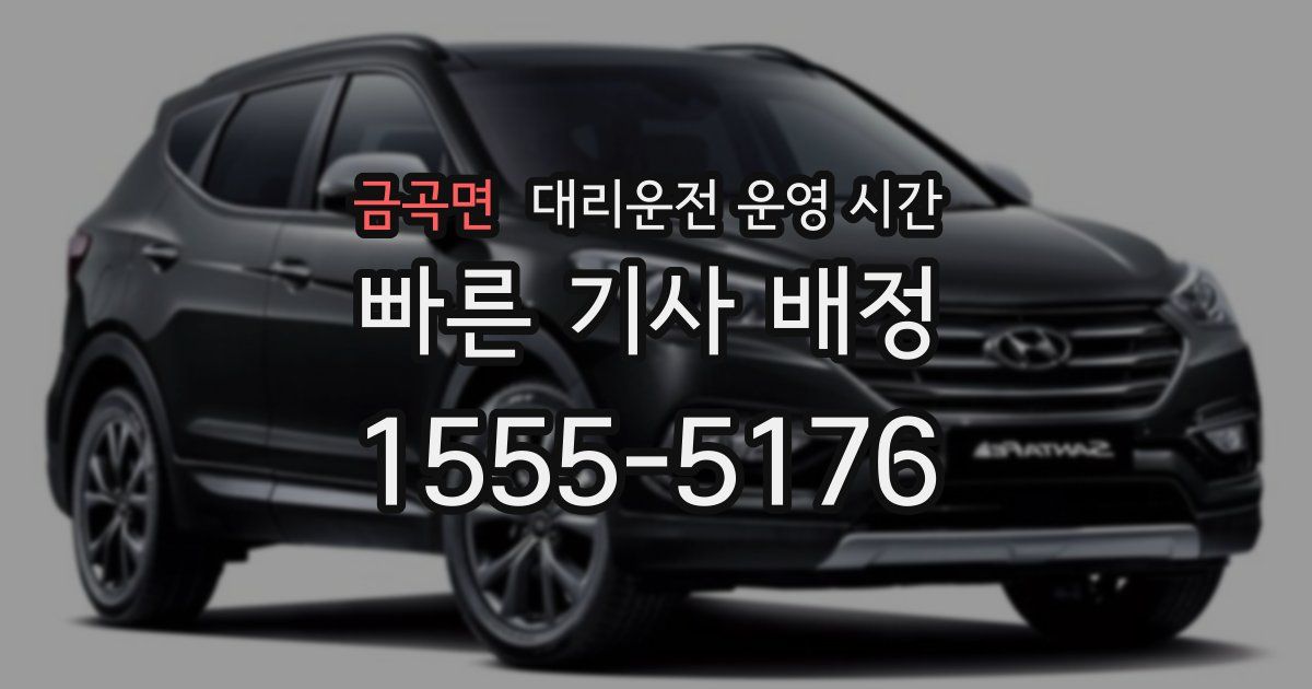 금곡면 대리운전 운영 시간