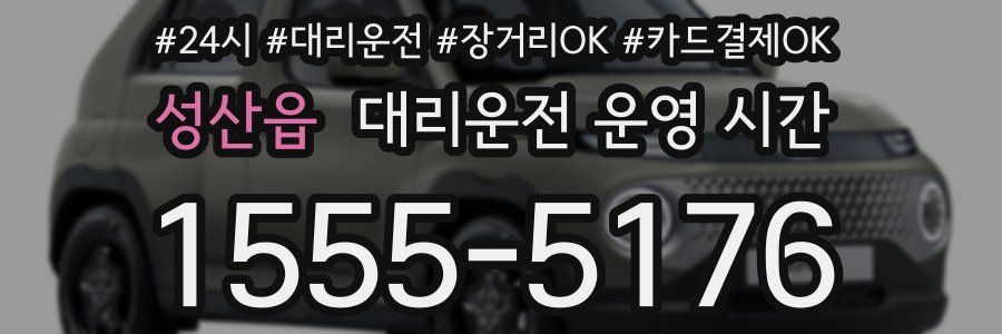 성산읍 대리운전 운영 시간