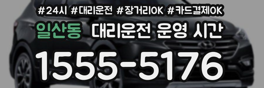 일산동 대리운전 운영 시간
