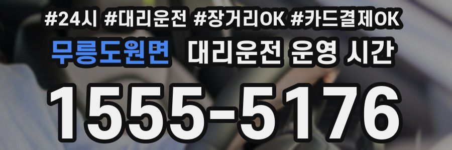 무릉도원면 대리운전 운영 시간