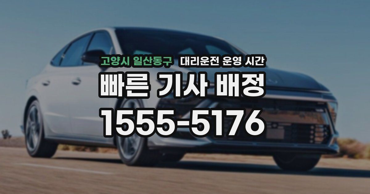 고양시 일산동구 대리운전 운영 시간