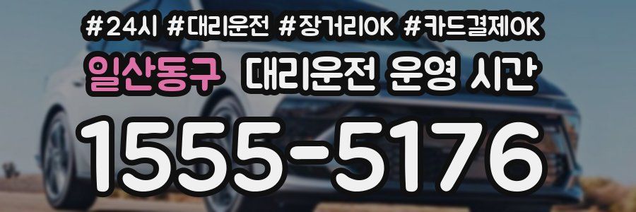 일산동구 대리운전 운영 시간