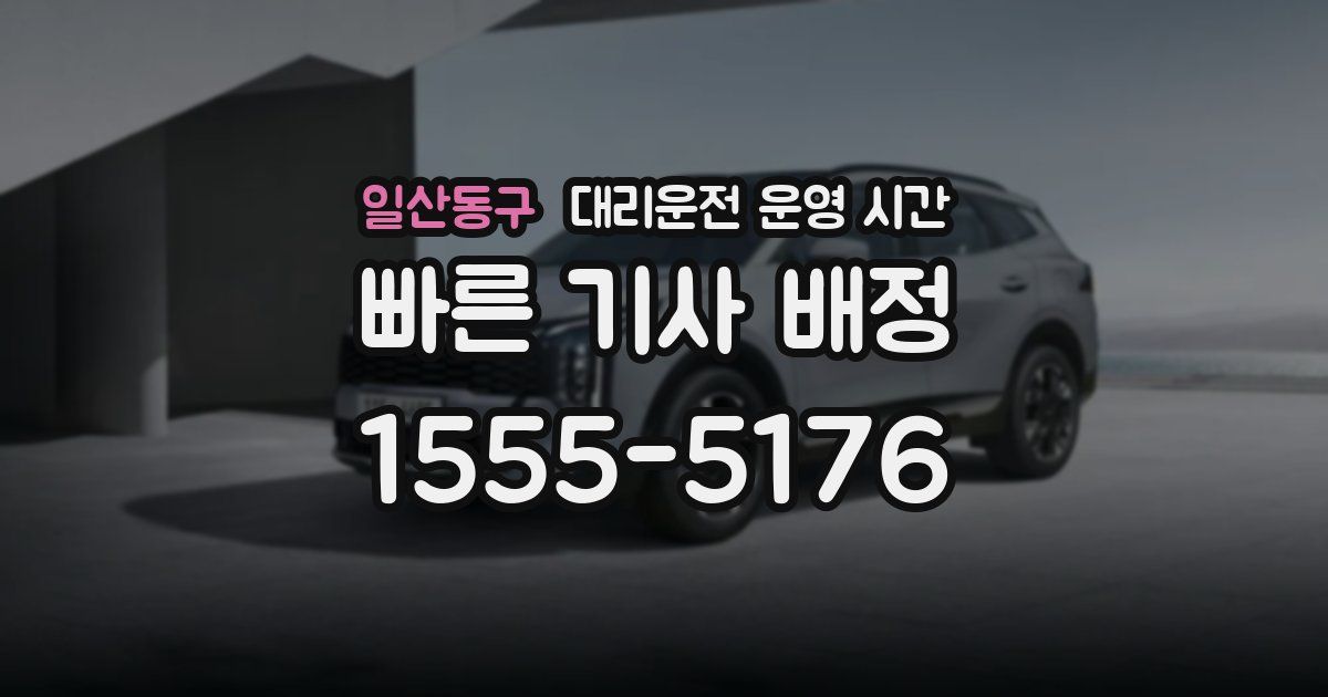 일산동구 대리운전 운영 시간
