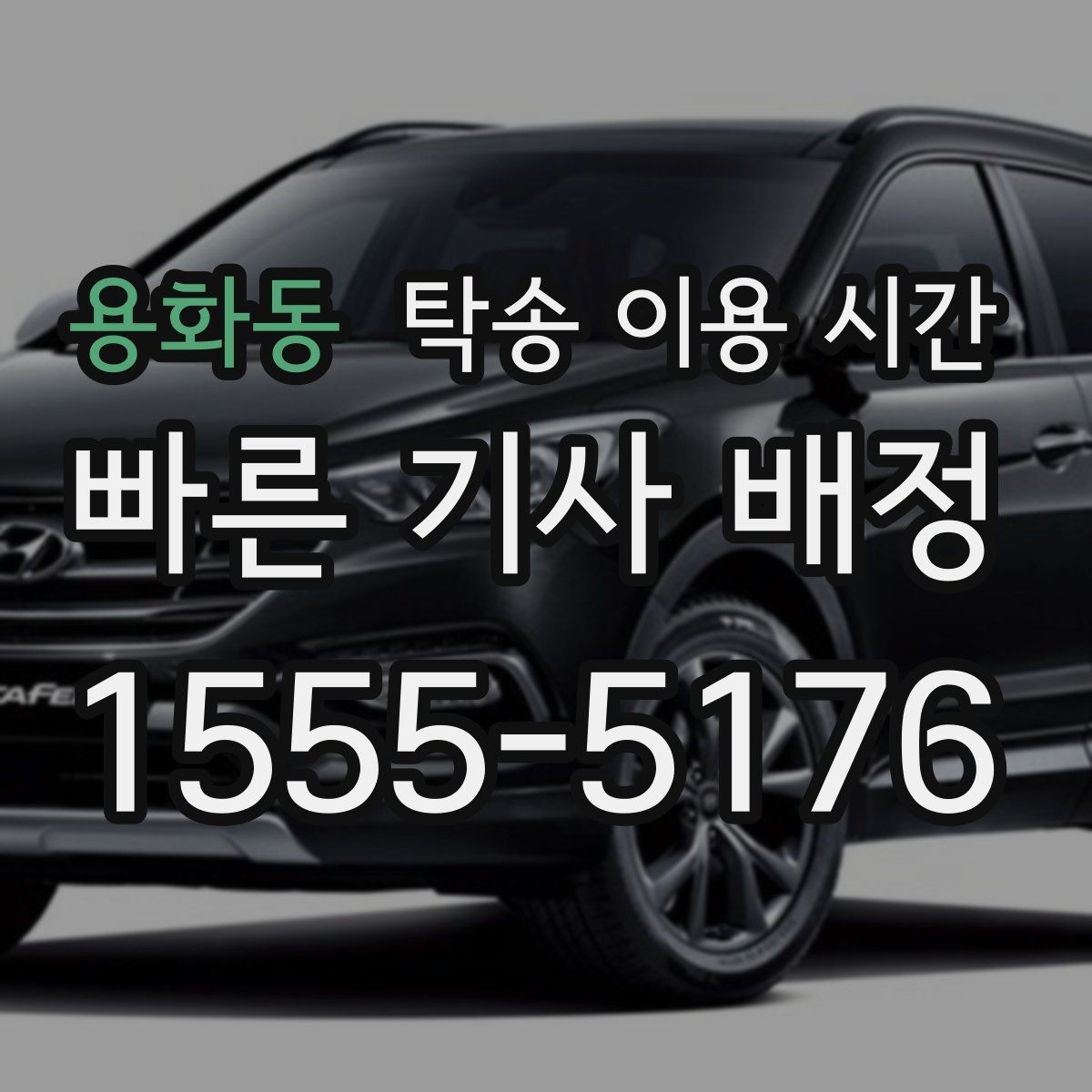 용화동 탁송 이용 시간 계절별 운행 차이가 생기는 구간