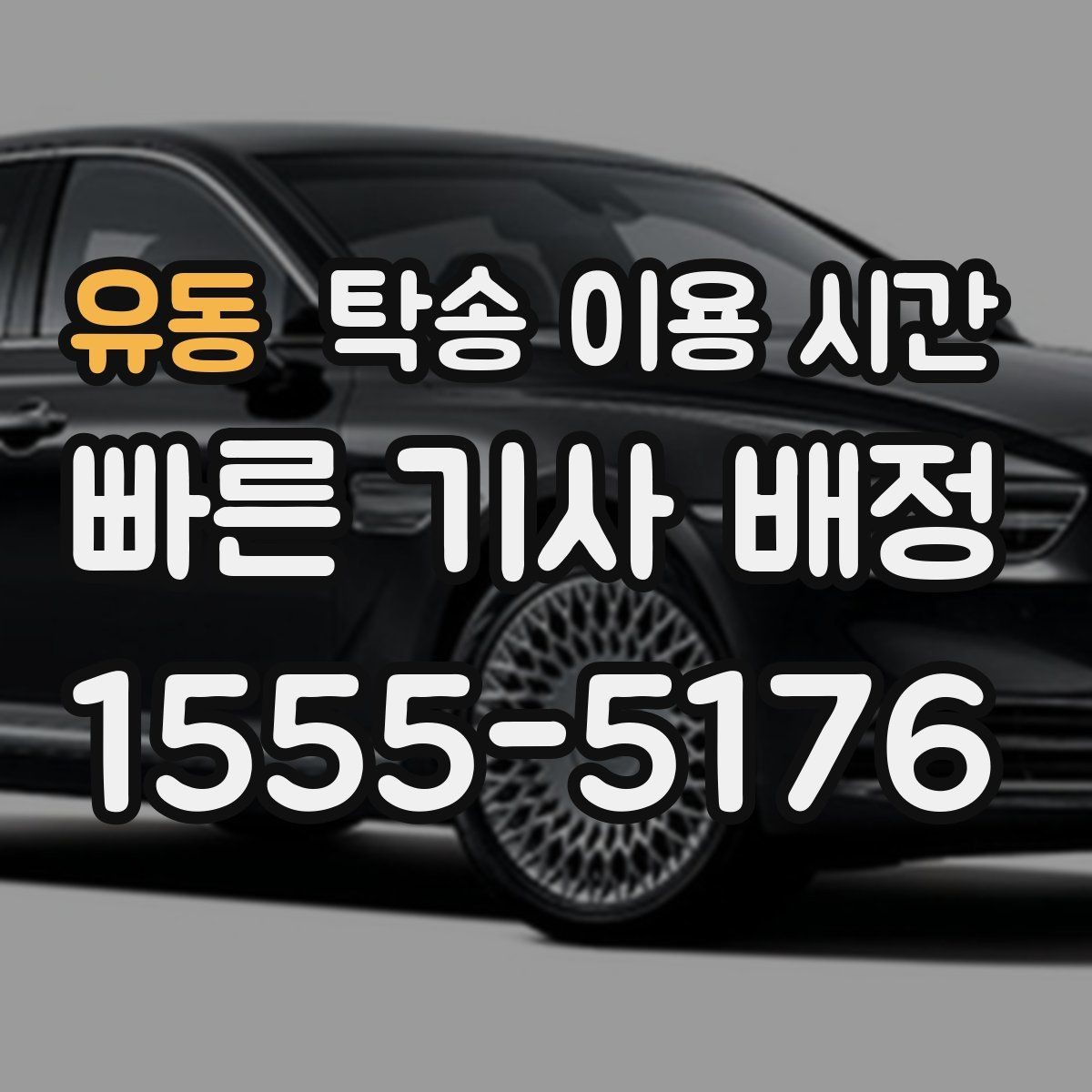 유동 탁송 이용 시간 출고 시간대와 운송 흐름 함께 보기
