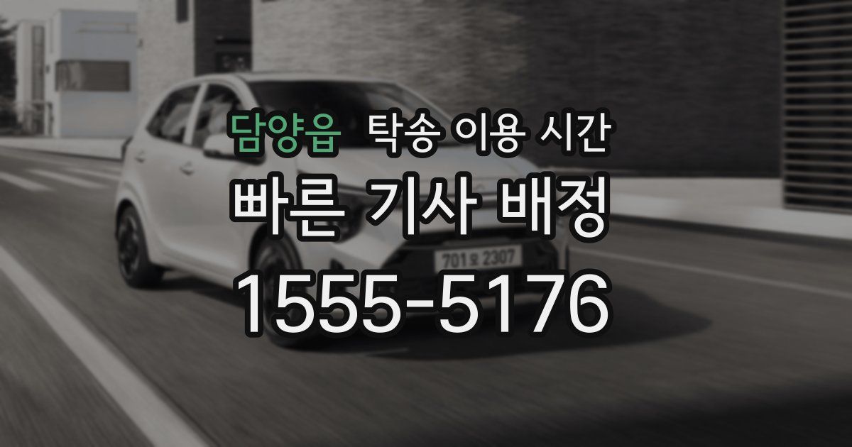 담양읍 탁송 이용 시간